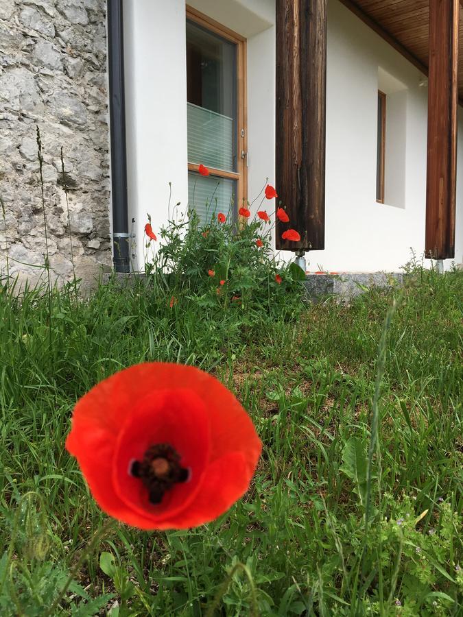 Der Weber - Haus Der Zukunft Apartman Hermagor-Pressegger See Kültér fotó