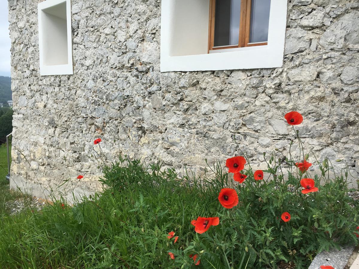 Der Weber - Haus Der Zukunft Apartman Hermagor-Pressegger See Kültér fotó
