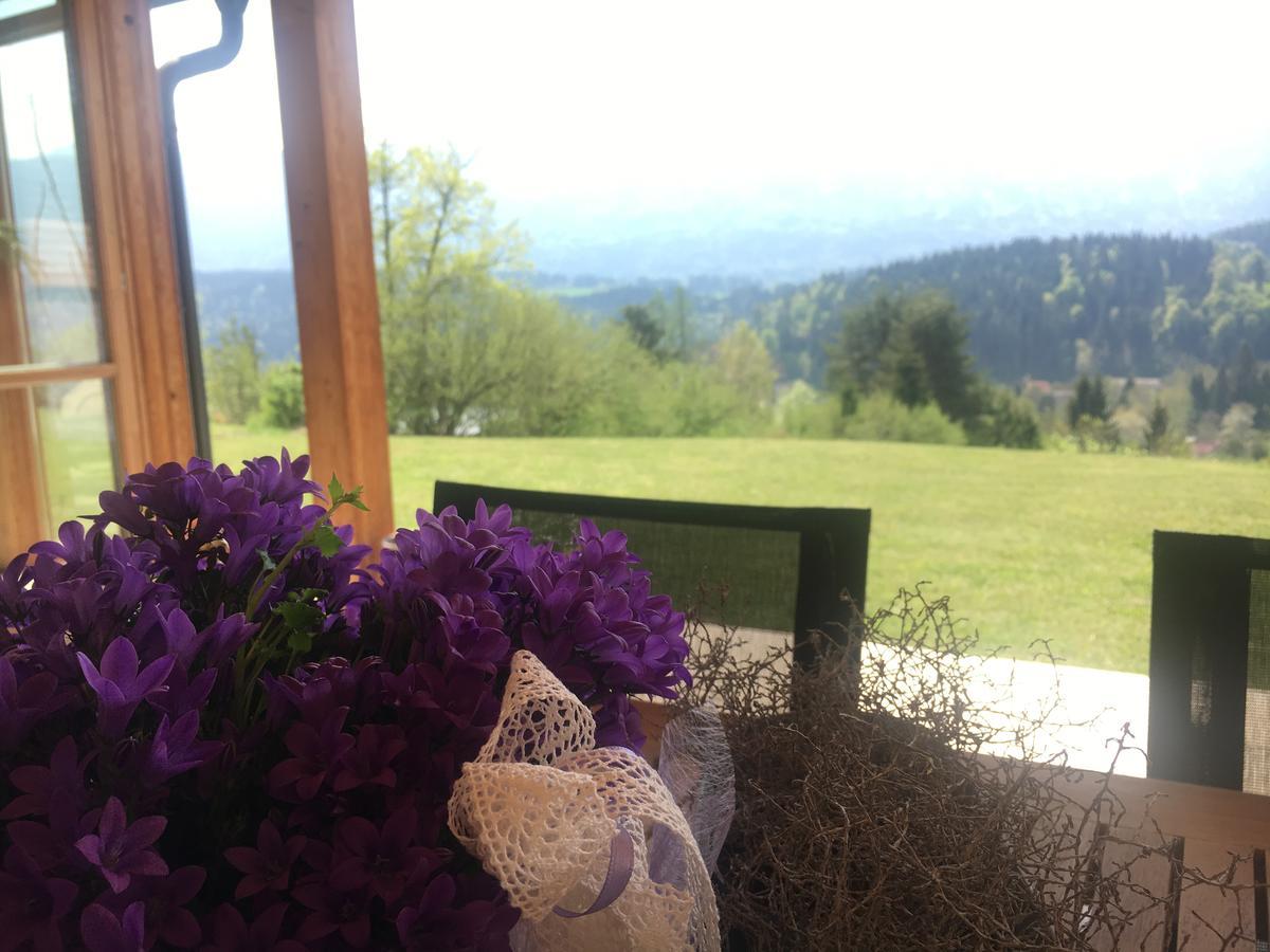 Der Weber - Haus Der Zukunft Apartman Hermagor-Pressegger See Kültér fotó